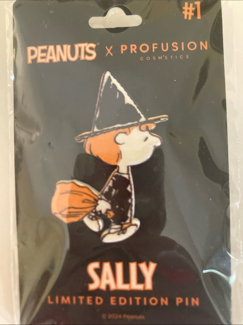 Peanuts Snoopy & Woodstock Pumpkin Pin - Orange & Black Halloween Fall - Picture 3 of 6